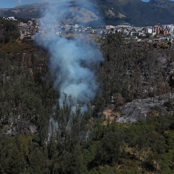 Ocho incendios activos en Ecuador; Pichincha concentra cinco featuring incendios forestales